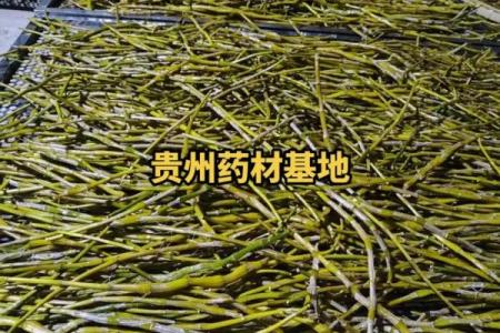 如何为药材公司起个响亮且具辨识度的名字