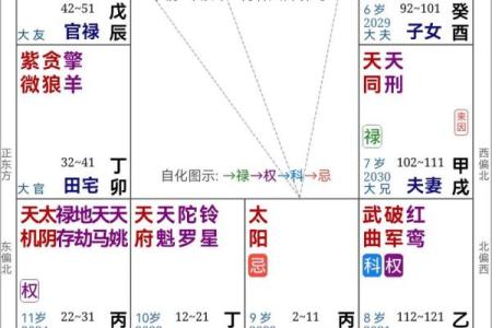 紫微排盘网站推荐：揭秘最精准的命理分析平台