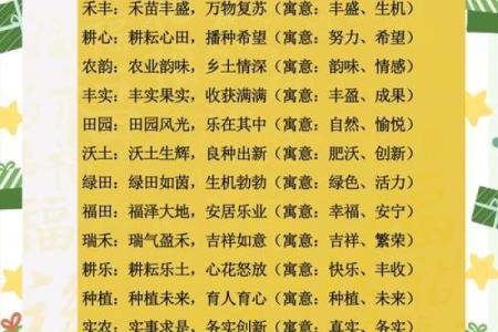 科技美容公司创意起名灵感全收录