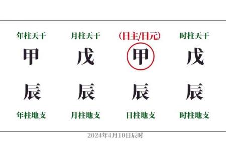 丁卯年五行解析，命运与运势如何影响