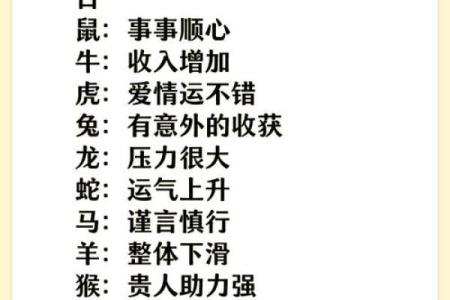 如何根据生辰八字为公司起名，提升财运与运势？