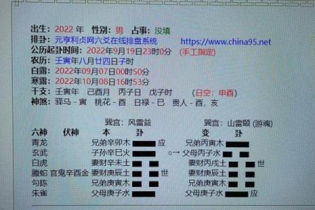 六爻在线排盘：揭秘国际易经的神奇力量与应用