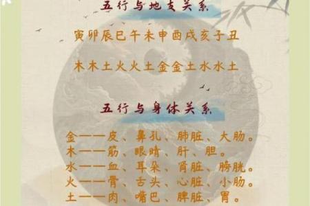 深度解读浩五行属性：你必须知道的五行秘密