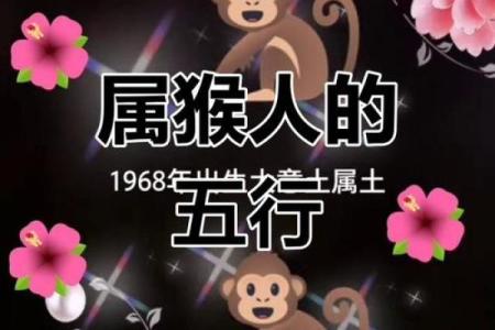 猴的五行属性揭秘