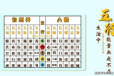 华五行属性能改变你的命运吗
