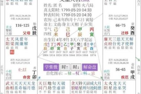 紫薇排盘精准分析，揭示命运走向的秘密