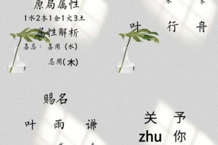 叶氏传承起名：如何选择最符合命运的名字