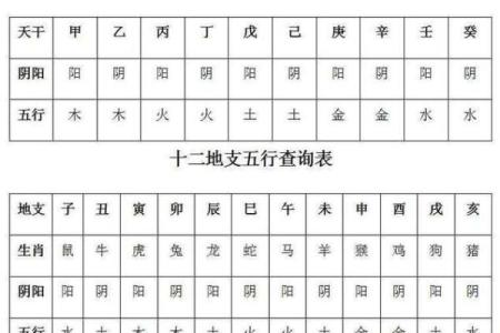 五行八字查询表：全面分析你的命运与运势