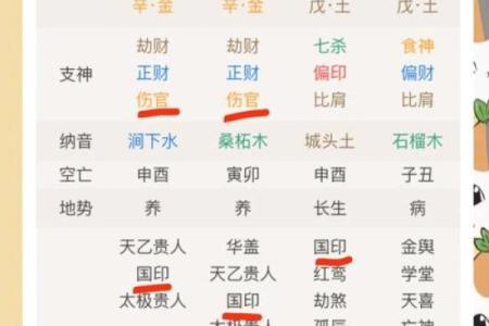 揭秘生命奥秘：命理之道，揭示命运真相
