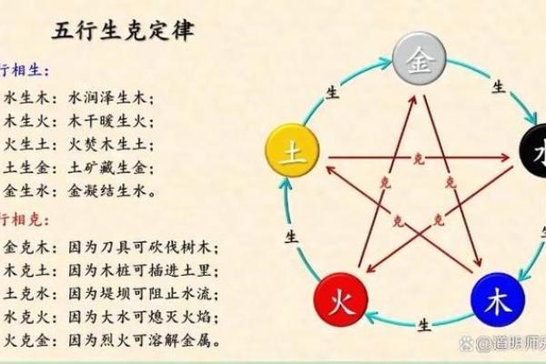 子是五行中的哪一类？深度剖析五行与地支的关系