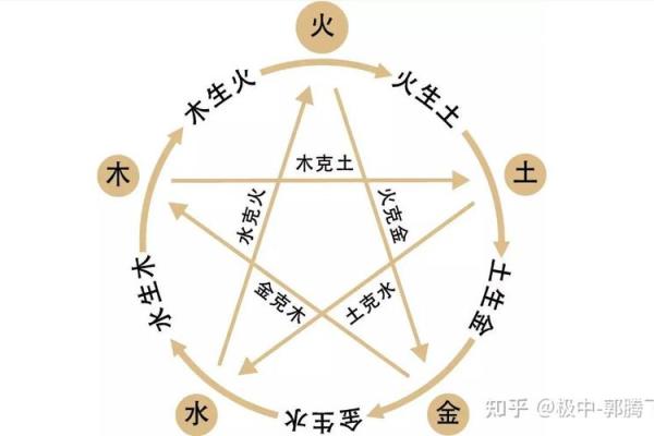子是五行中的哪一类？深度剖析五行与地支的关系