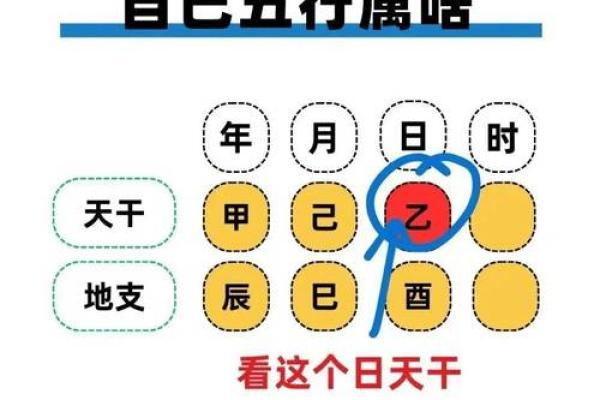 揭秘：五行中己到底属什么？