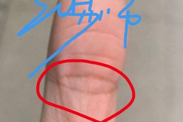 揭秘凤眼女手相，带你走进神秘手相世界