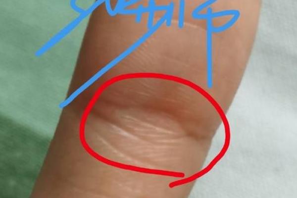 揭秘凤眼女手相，带你走进神秘手相世界