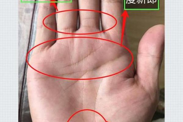 手相解码：揭秘生命线、事业线、感情线，你的运势密码尽在手心