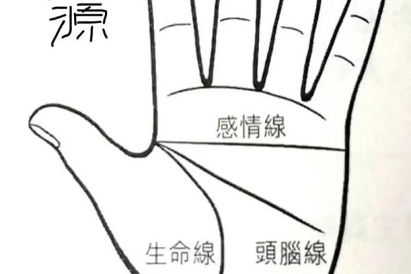 手相解码：揭秘生命线、事业线、感情线，你的运势密码尽在手心