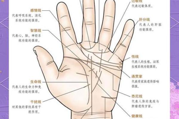 手相暗藏玄机：理财达人竟也有这些特征