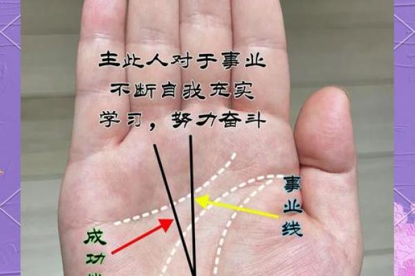 手相揭秘：一招看穿你的寿命，揭秘命运之谜