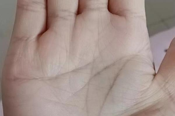 手相揭秘：一招看穿你的寿命，揭秘命运之谜