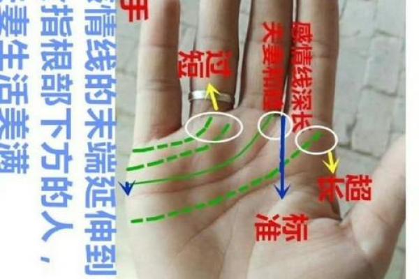 手相软好吗？揭秘男性手相软硬与运势的惊人关系