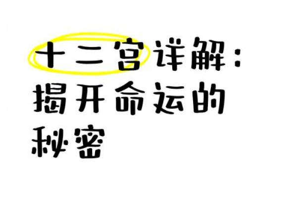 元亨利贞梅花排盘软件助你揭开命运的神秘面纱