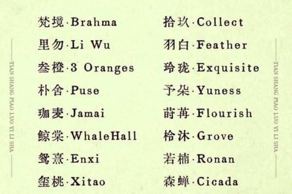 如何为公司取一个吸引人的英文名字