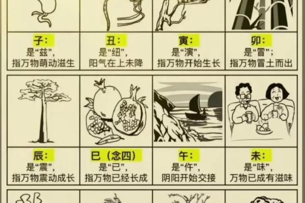 木的天干如何影响你的性格与运势