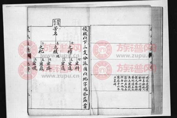 展姓起名大全：如何选一个与众不同的名字