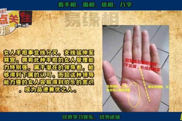 手相无贵人线，运势会受影响吗？揭秘手相奥秘
