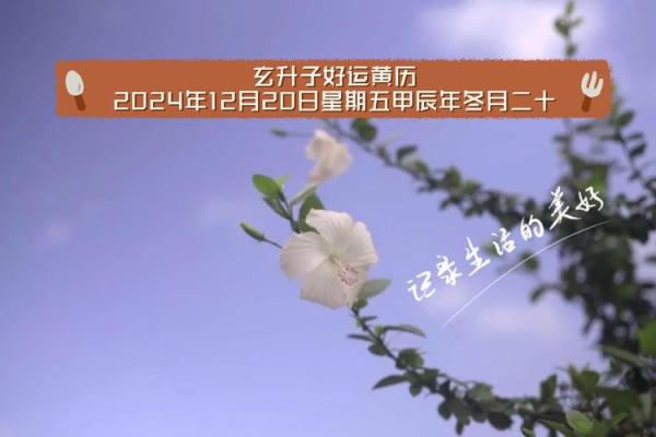 让黄历八字指引你，走向更美好的生活