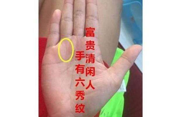 揭秘父字纹在手相中的女性运势，让你一眼看穿命运走向