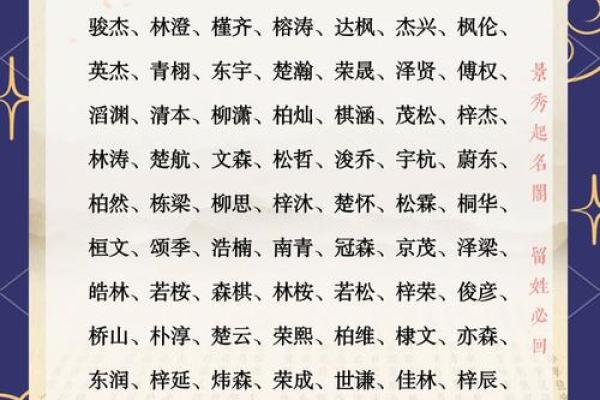 于姓男孩取名宝典：最适合男孩的独特名字推荐