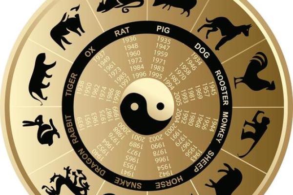 揭开建五行属性的神秘面纱，开启你的命运之门