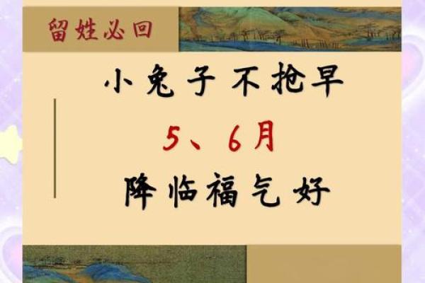 年属兔啥命？揭秘兔年出生的你命运之谜