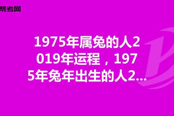 年属兔啥命？揭秘兔年出生的你命运之谜