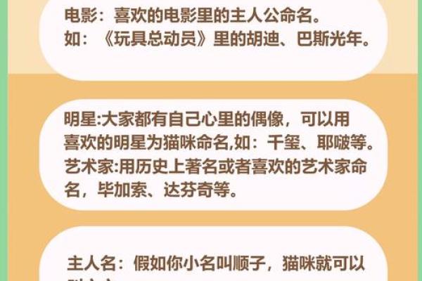 给你的猫咪起个独特的名字，让它与众不同