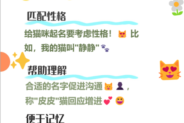 给你的猫咪起个独特的名字，让它与众不同