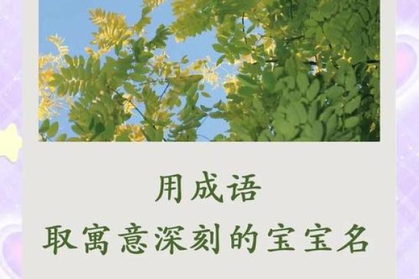 锦起名字的技巧：如何为宝宝取个寓意深远的名字