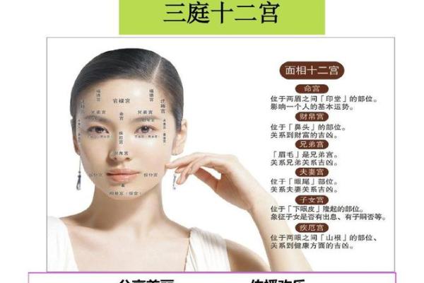 揭秘面相风水，让你瞬间提升运势的神奇秘籍