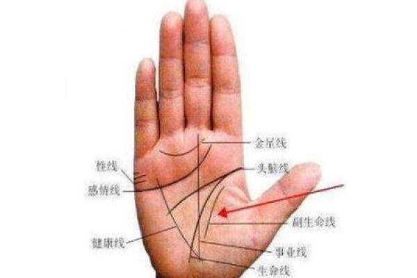 手相奥秘揭秘：事业线绽放花朵纹，预示何种运势？