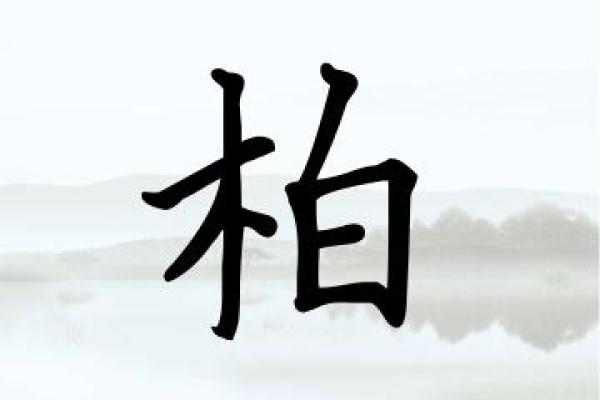 专家教你如何用柏字为宝宝取个不一样的名字