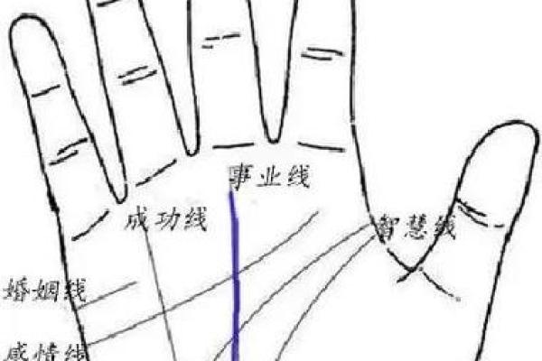 揭秘手相奥秘：手相图解大全子女必看，一招掌握命运密码