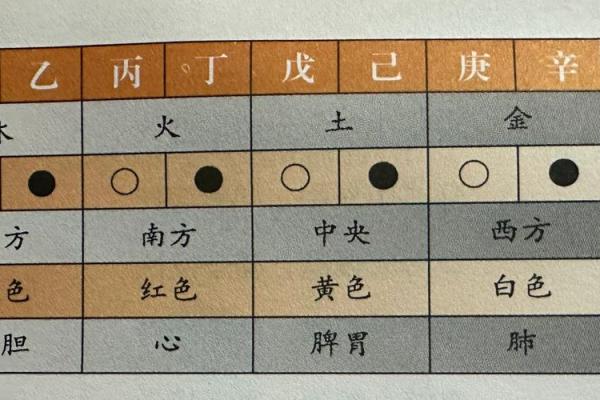 掌握行字五行，轻松改善生活中的每一个细节