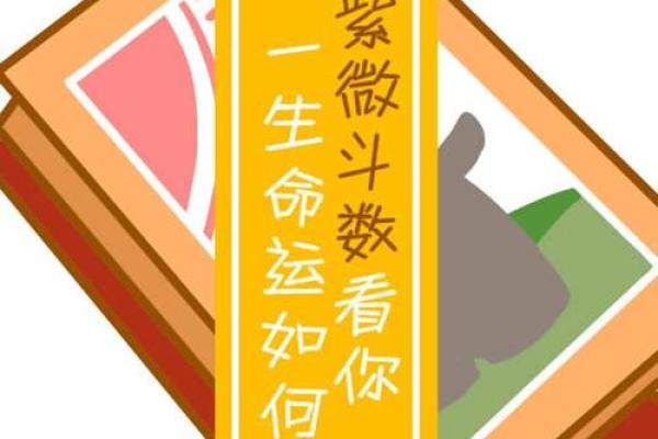 科技紫薇命盘免费排盘，助你掌握人生关键