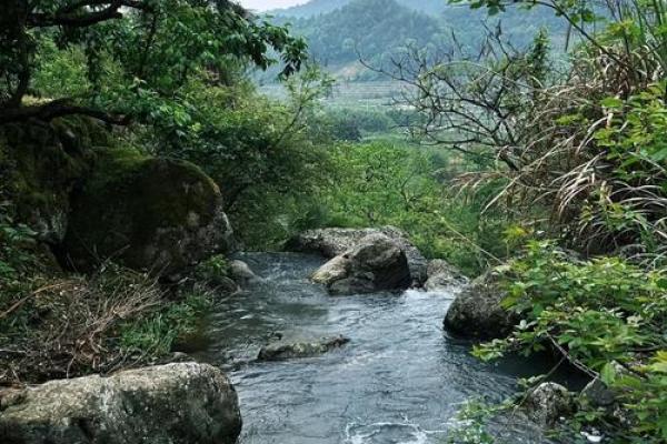 山涧水：大自然的甘露，心灵的疗愈之源