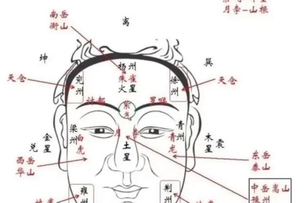 凸目面相：揭秘富贵与运势的秘密