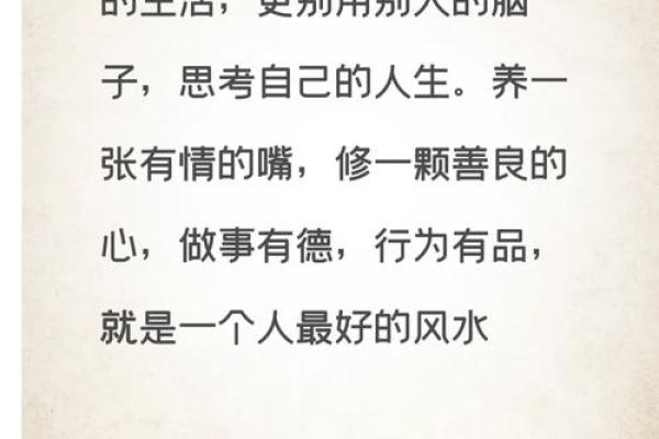 文王神卦排盘软件大揭秘，让你的人生决策更科学