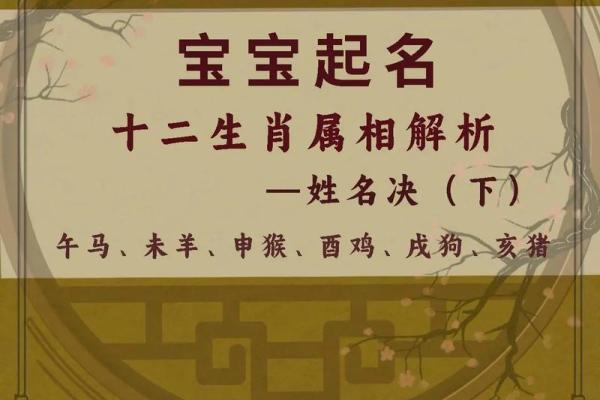 生肖鸡宝宝如何起名才能更好地带来运势