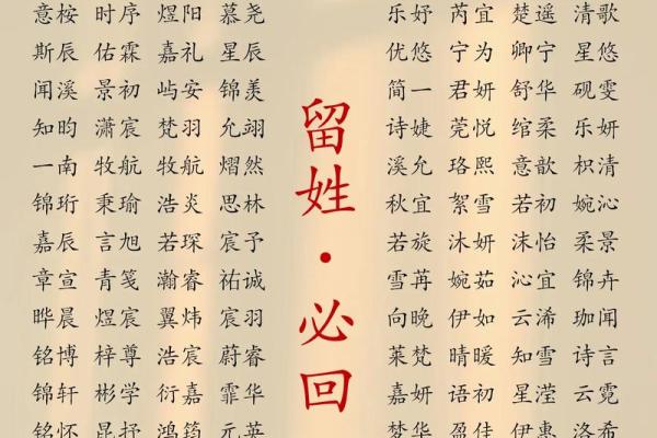 永字辈宝宝起名：传承与创新的完美结合