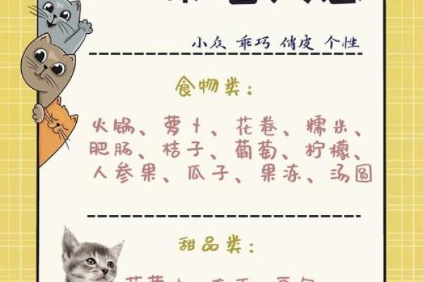最火的猫猫名字推荐，快来选一个！
